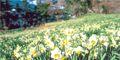 TLDy0T0dNnSJZt3lxTJA.jpg?w=940&h=940