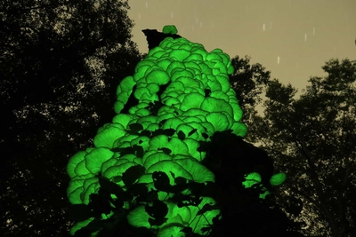 TLu7jPVnLWjlyJKgVGpQ.jpg?w=940&h=940