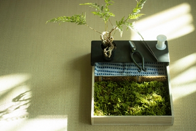 TLuySaZj3hYkA89zE3Wi.jpg?w=940&h=940