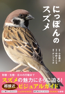 TM7Pszthh1cTxybBYtF3.jpg?w=940&h=940