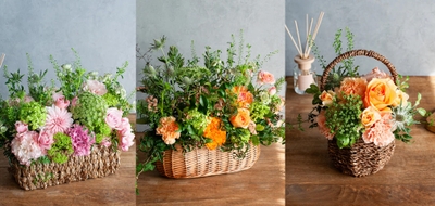 TMoudCaYkZYBotuVzhVY.jpg?w=940&h=940