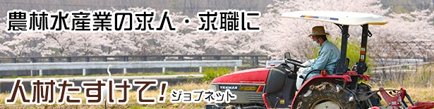 人材たすけて! ジョブネット(3)