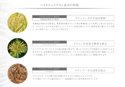 TN4P8I9xmWQ1HVL5Zb9Z.png?w=940&h=940