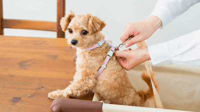 TQg9UTgi5qhKVh08NIKn.png?w=940&h=940