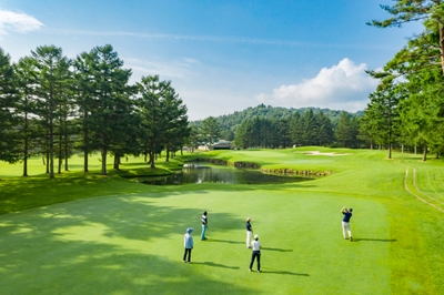 TQzunabSJgejX5XlNPEc.jpg?w=940&h=940