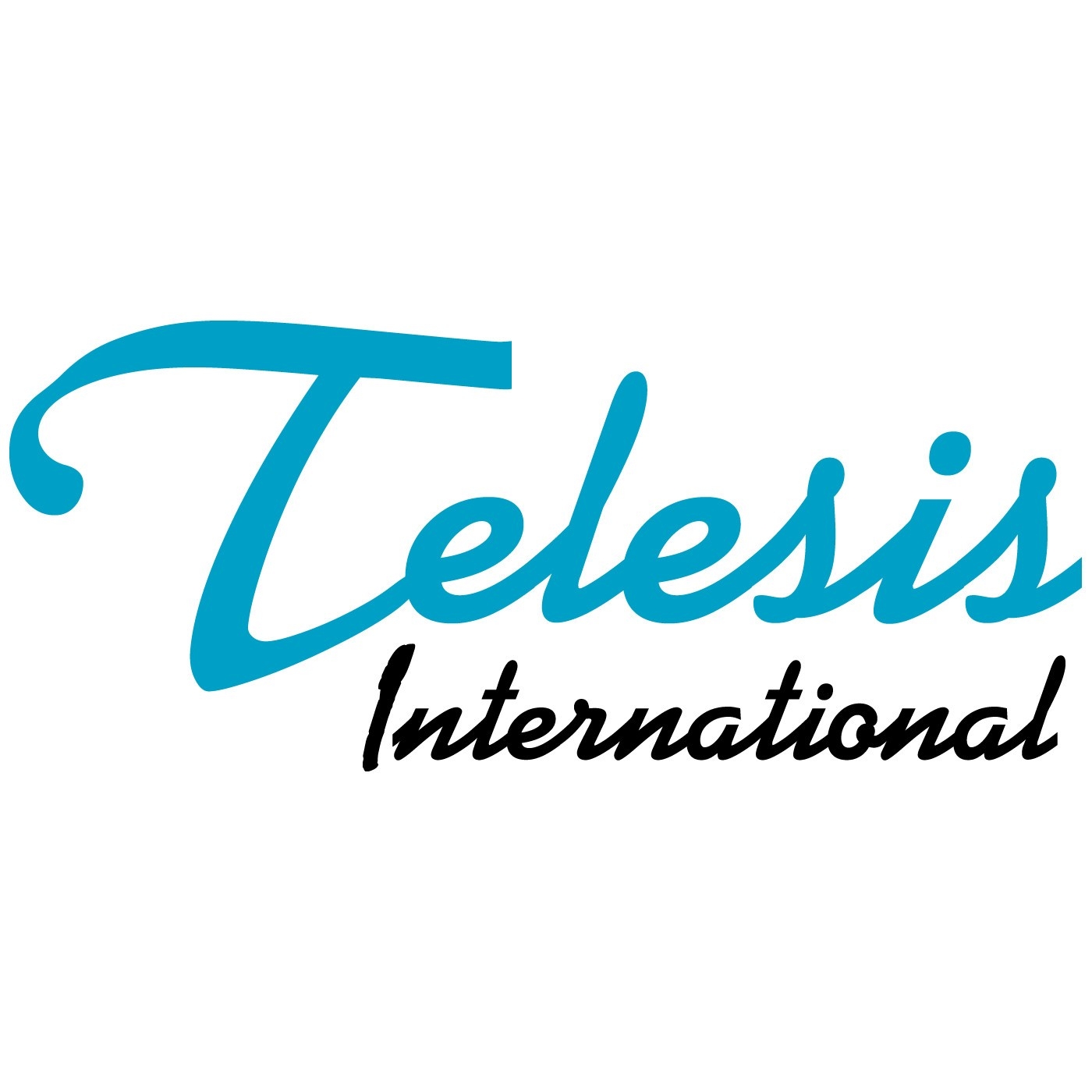 株式会社テレシスインターナショナル