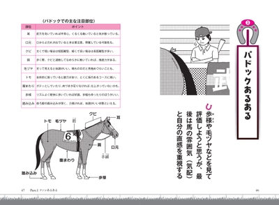 TSTIYyXiYzVOY0K4kNcv.jpg?w=940&h=940