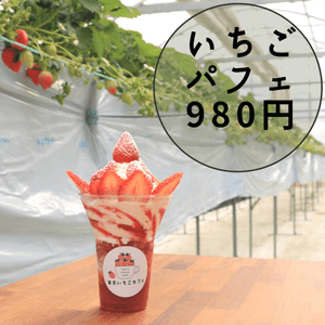 TUVERKiCEneDK12NegoY.png?w=940&h=940