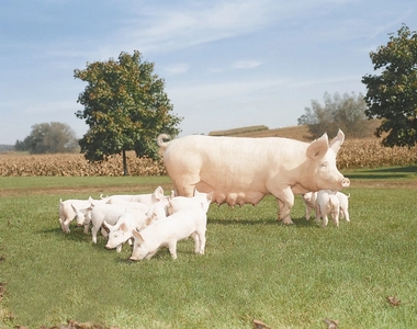 TWkFibFiG6MGFWC53J6M.jpg?w=940&h=940