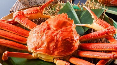 TX9PB4YLJBNQlGrALAi3.jpg?w=940&h=940