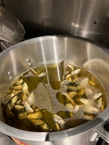 TXaWirARzkI6aNn0gtLI.jpeg?w=940&h=940