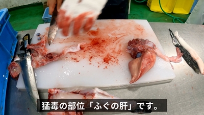 TbTjRMqtn0rEH5LOmT09.jpg?w=940&h=940