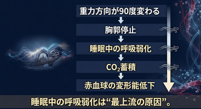 Tcp2aOfI2fmEaiWa3VRq.png?w=940&h=940