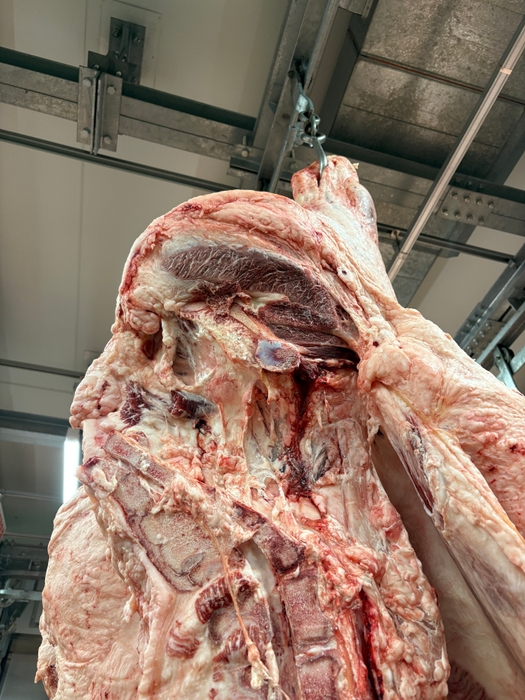 優秀賞を獲得した出品牛のモモ肉