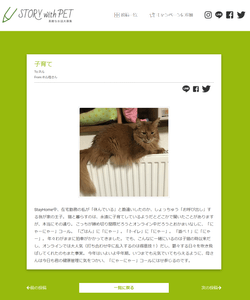 Tdy8GmcxtM7LXHIbes7q.png?w=940&h=940