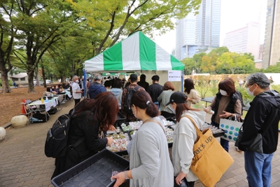 Te21yf3rVkqtmyyZNRNX.jpg?w=940&h=940