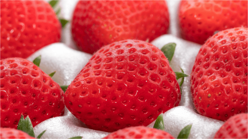 ふるさと納税「苺（いちご）」の量コスパランキングを発表｜1万円換算で2キロ超も