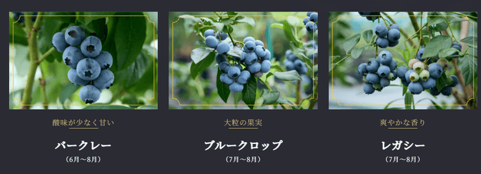 バークレー/ブルークロップ/レガシー