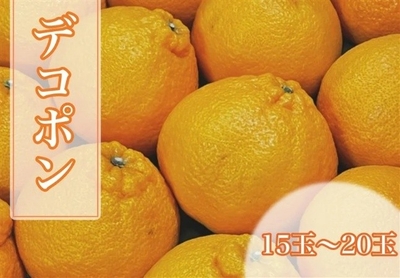 TesfnujpMFV5LAI9t7xs.jpeg?w=940&h=940