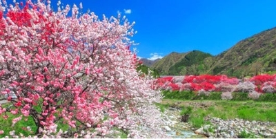 TfXxnOaPXUYLDyccRZ62.jpg?w=940&h=940