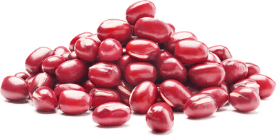 Tflamb3iVHSgk8iESSv3.png?w=940&h=940