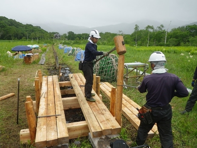 TgHShQbRffHii4dBug9R.jpg?w=940&h=940