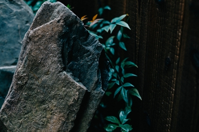 ThD6tVXnQRfq1pRyDb21.jpg?w=940&h=940