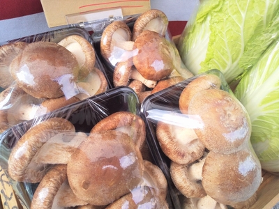 ThGpZKPLSTrIc1y52fOv.jpg?w=940&h=940