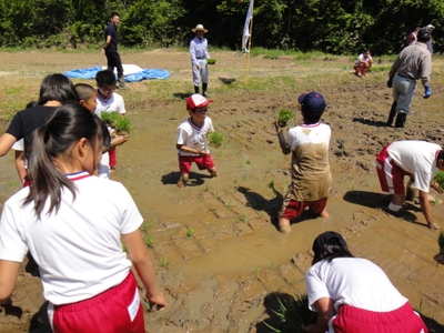 TiPnqvHN6g7rSU2zOGht.JPG?w=940&h=940