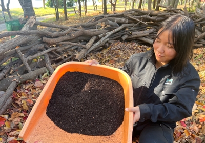 微生物の働きで生まれ変わる落ち葉、豊かな腐葉土へ