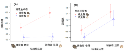 図2. 捕食者巻貝と被食者笠貝の粘液への捕食者巻貝と被食者笠貝の反応　（A）は総移動距離、（B）は回転数の結果を示す。