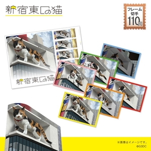 TjB5jkIa2JAIhDSk63Qi.jpg?w=940&h=940