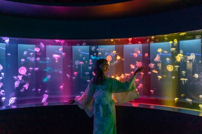 TjhPg0pdoDrPStJUCbtI.jpg?w=940&h=940