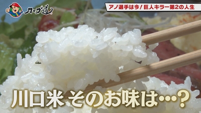 TlyhccJNpW9ke03A0gXz.jpg?w=940&h=940