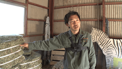 TmAwtyGd4yivV4V9izsr.png?w=940&h=940