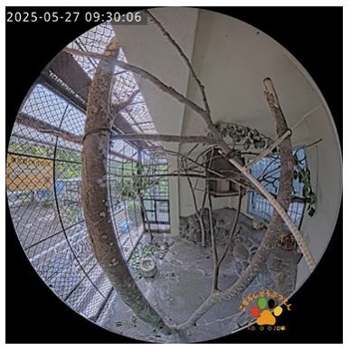 小諸市動物園公式YouTubeチャンネル　ムササビ舎ライブカメラ