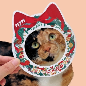 Tn6hScZkOcnObsdRqxIh.jpg?w=940&h=940