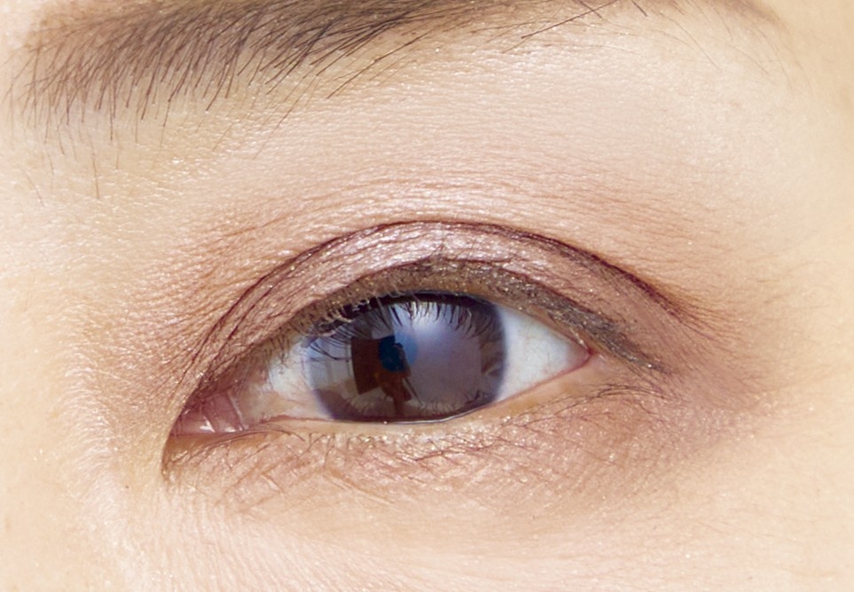 <仕上がりイメージ> 使用色:501シナモン系