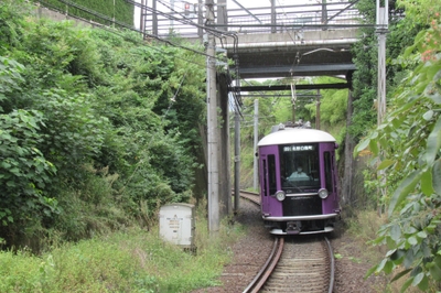 TnvkvL0ifFvtE54y6b5m.jpg?w=940&h=940