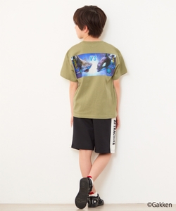 ToBS06wwAr86YgUAz86M.jpg?w=940&h=940