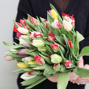 ToIwDDQkd0fmEpH2BdCk.jpg?w=940&h=940