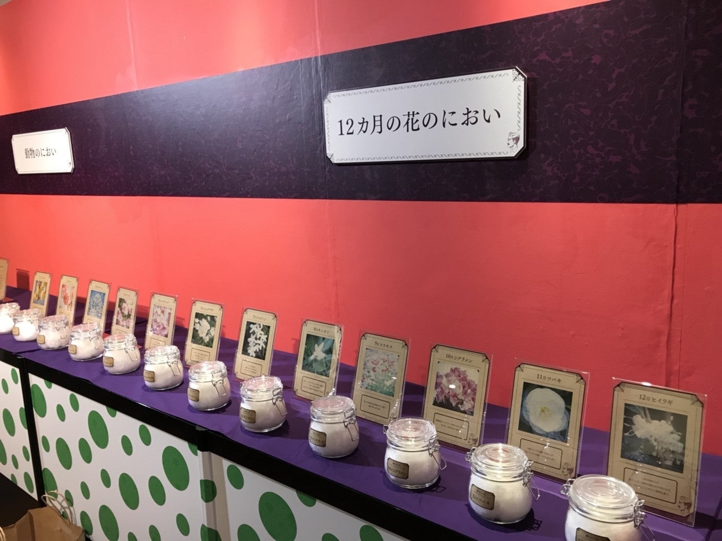 「12か月の花の香り」