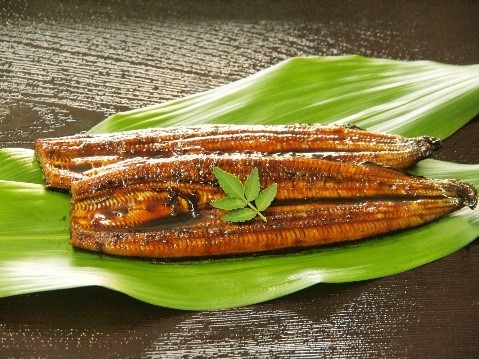 ※価格は変更になる場合があります