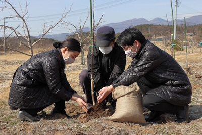 TqFEqDMIkINQBHnmP5Eu.jpg?w=940&h=940