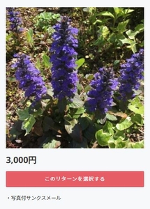 TrI1O3Ckci2dYuiWBmKy.jpg?w=940&h=940