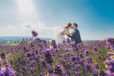 Tsoj9hoifvAWTLR6WZ0V.jpg?w=940&h=940