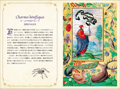 TtIW8V48WKUa3DGbzpKd.png?w=940&h=940