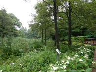 Tud9dvq2kZVERqXdBFds.jpg?w=940&h=940