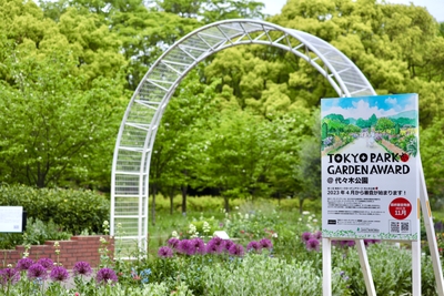 TuibDp6PHt4NDdzxCrTN.jpeg?w=940&h=940