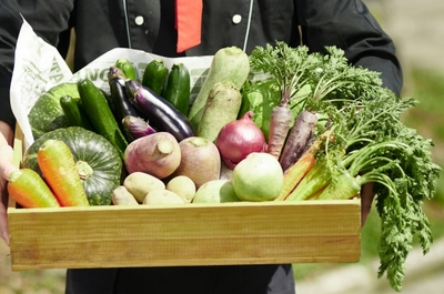 Tw56Ux3idREqQ14VDVvt.jpg?w=940&h=940